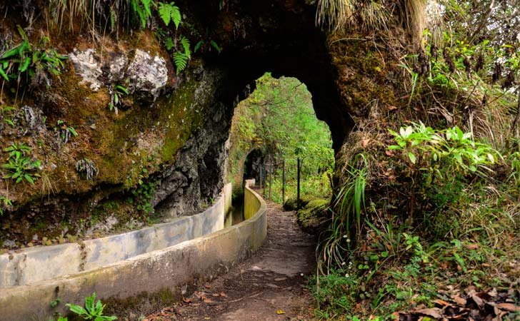 (Foto: Divulgação) Foto de Levada do Furado, em Ilha da Madeira